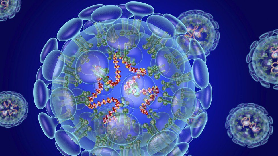 Frequently Asked Questions re Coronavirus